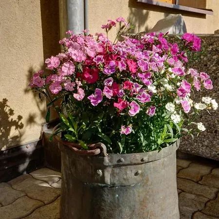 Chesa Munteratsch 2-zimmerwohnung 408 Typ F *