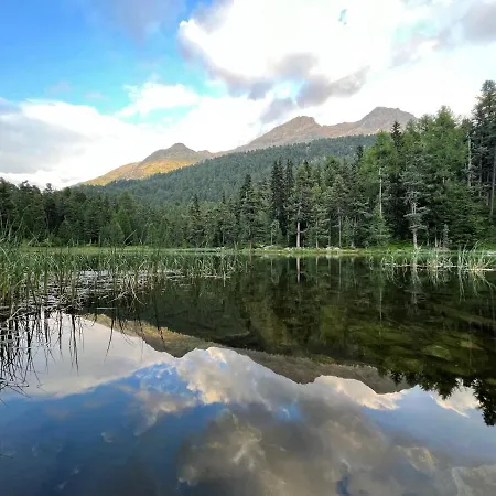 Chesa Munteratsch 2-zimmerwohnung 408 Typ F * 席尔瓦普拉纳