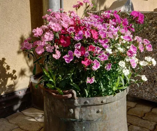 Chesa Munteratsch 2-zimmerwohnung 408 Typ F *