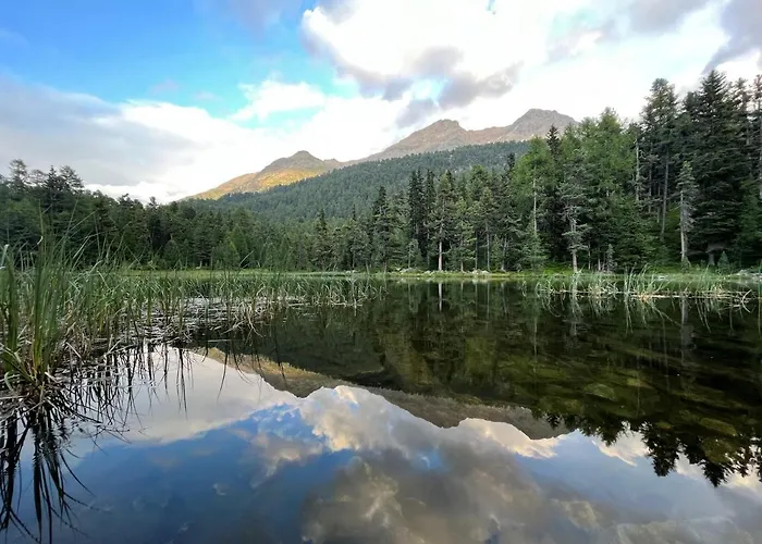 Chesa Munteratsch 2-zimmerwohnung 408 Typ F * Silvaplana