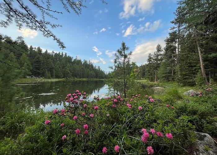 Apartman Chesa Munteratsch 2-zimmerwohnung 408 Typ F Silvaplana