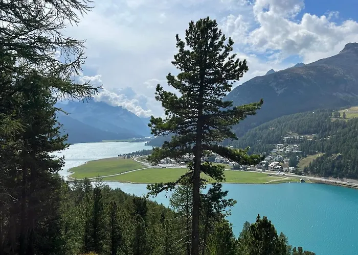 Apartman Chesa Munteratsch 2-zimmerwohnung 408 Typ F