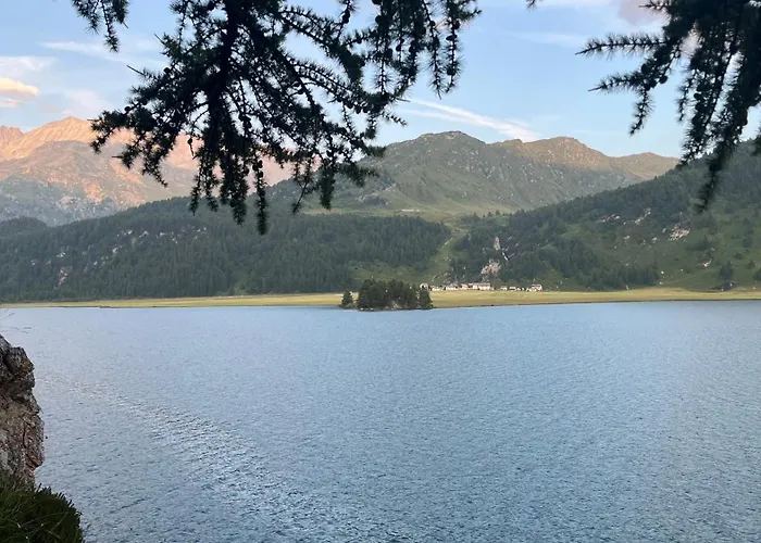 Chesa Munteratsch 2-zimmerwohnung 408 Typ F Silvaplana