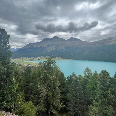 Апартаменты Chesa Munteratsch 2-zimmerwohnung 408 Typ F