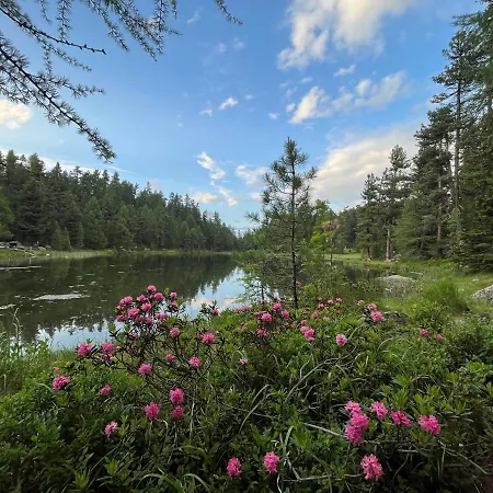 Апартаменты Chesa Munteratsch 2-zimmerwohnung 408 Typ F Сильваплана