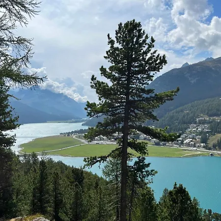 Апартаменты Chesa Munteratsch 2-zimmerwohnung 408 Typ F